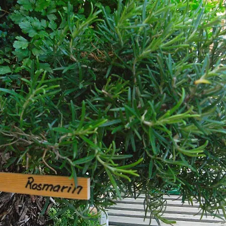 4 Person On A In Lejlighed Fanø