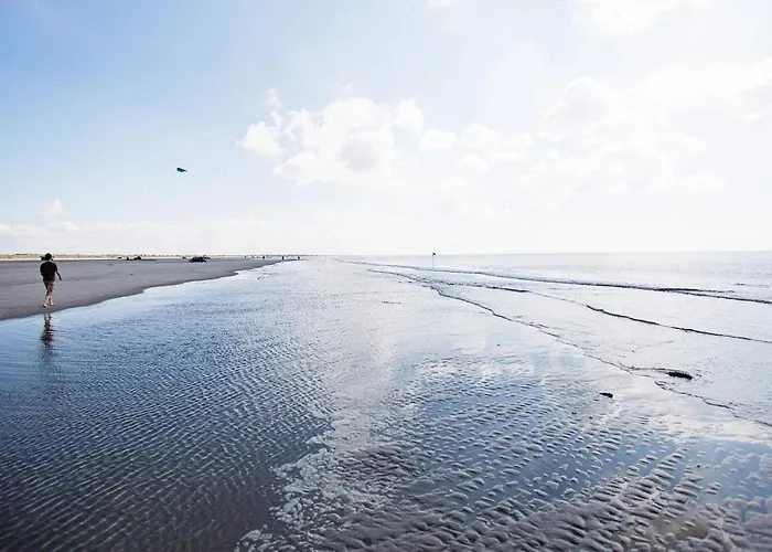 4 Person On A In Apartament